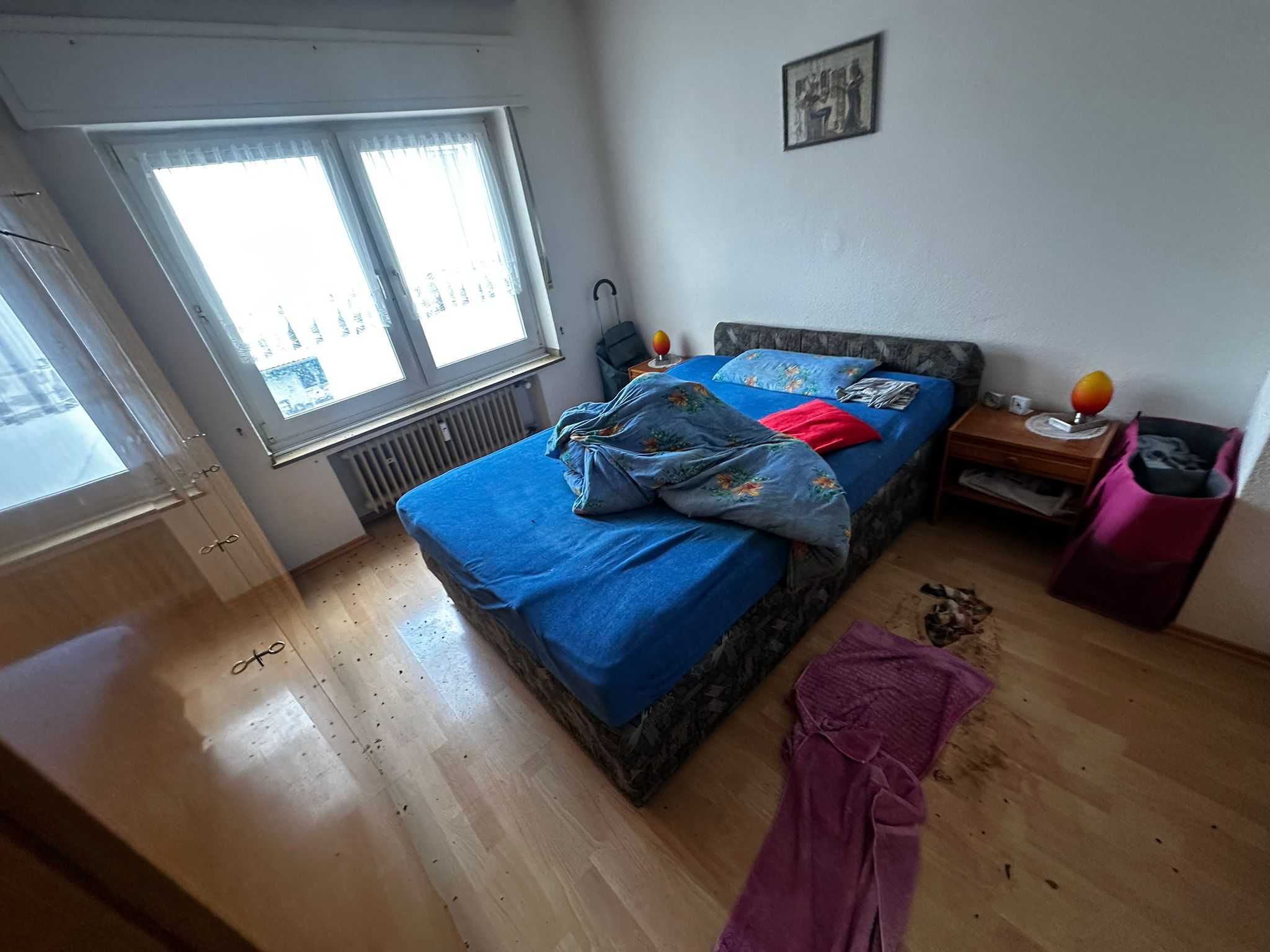 WhatsApp Image 2026-02-04 at 13.05.05 (1)