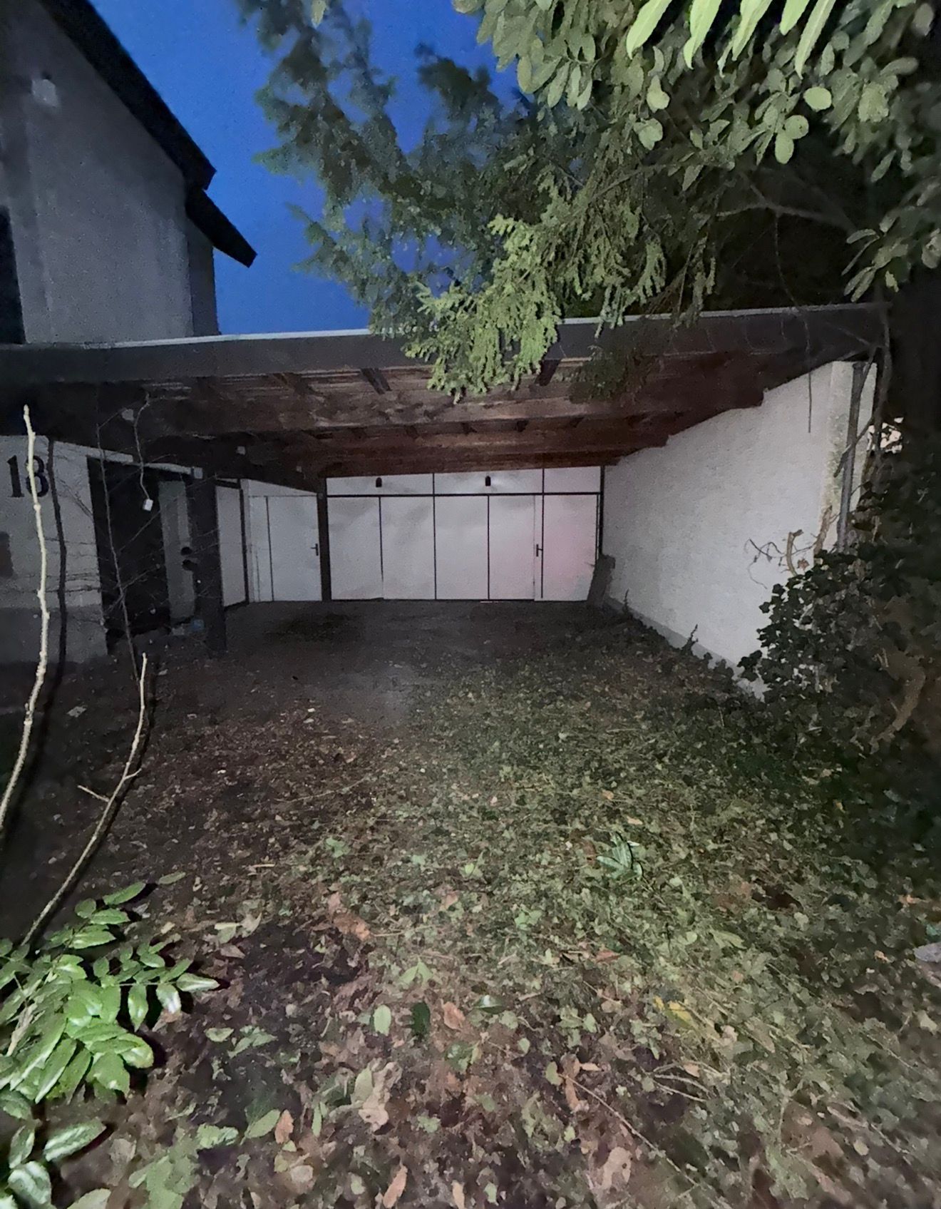 WhatsApp Image 2026-02-04 at 13.05.27 (4)